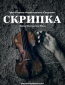 Скрипка
