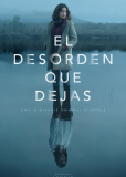 Беспорядок после тебя (сериал)