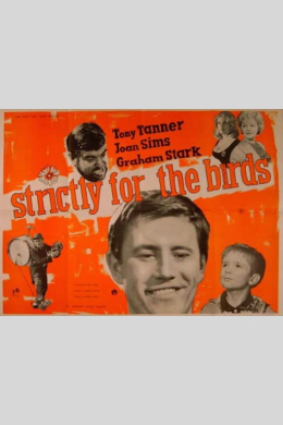 Strictly for the Birds
