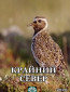 Крайний север (многосерийный)