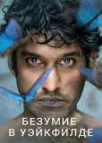 Безумие в Уэйкфилде (сериал)