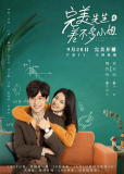 Идеальный и обычная (сериал)