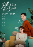 Идеальный и обычная (сериал)