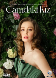 Девушка за стеклом (сериал)