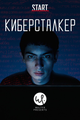 Киберсталкер (сериал)