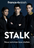Киберсталкер (сериал)