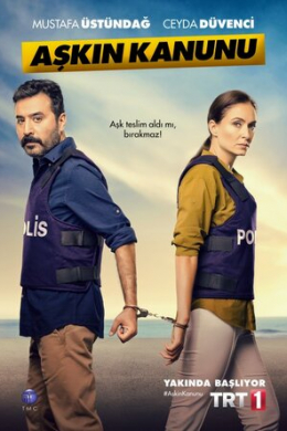 Закон любви (сериал)