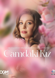 Девушка за стеклом (сериал)