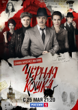 Черная кошка (сериал)