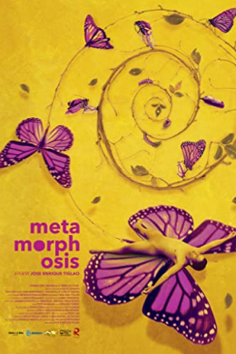 Метаморфозы