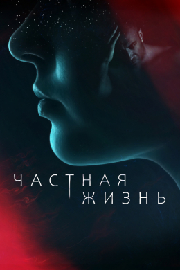 Частная жизнь (сериал)