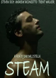 Steam