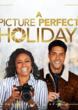 A Picture Perfect Holiday