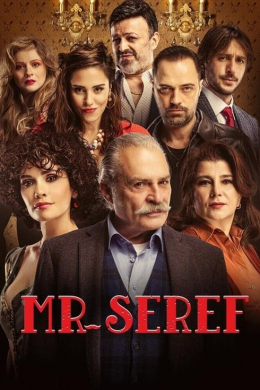 Уважаемый господин (сериал)
