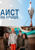 Аист на крыше (сериал)