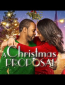 A Christmas Proposal