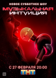Музыкальная интуиция (сериал)