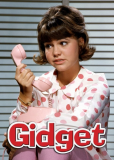 Gidget (сериал)