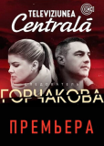 Следователь Горчакова (сериал)