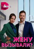 Жену вызывали? (сериал)