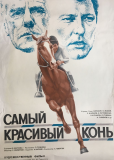 Самый красивый конь