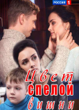 Цвет спелой вишни (сериал)