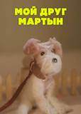 Мой друг Мартын
