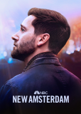 Новый Амстердам (сериал)