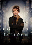 Харри Уайлд (сериал)