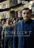 Профессор Т.: Особые преступления (сериал)