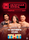 Неличная жизнь (сериал)