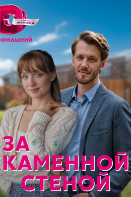 За каменной стеной (сериал)