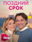 Поздний срок (сериал)