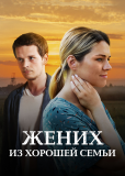 Жених из хорошей семьи (сериал)