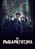 Рыцари Готэма (сериал)