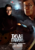 Тихая гавань (сериал)