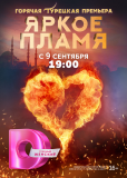 Яркое пламя (сериал)