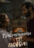 Превратности любви (сериал)