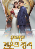 Стандартная процедура идеального брака (сериал)