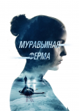 Муравьиная ферма