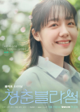 Сезоны цветения (сериал)