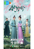 Доктор Весна (сериал)