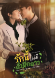 Для любви фасоль не добавлять (сериал)