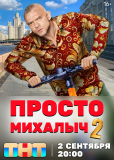 Просто Михалыч (сериал)