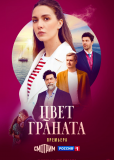 Цвет граната (сериал)