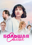 Большая семья (сериал)