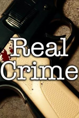 Real Crime (сериал)