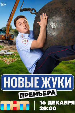 Жуки (сериал)