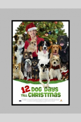 12 Dog Days of Christmas