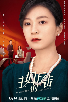 Контратака домохозяйки (сериал)